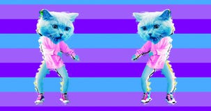 Minimal motion art. Funny dancing Cat in colours background
