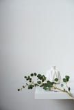 Minimalist still life, green eucalyptus branch and emty ceramic vase on white table by white wall