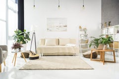 Minimalistic living room interior with white furniture and plants, lit stock image Minimalistic living room interior with white furniture and plants, lit stock image