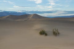 Minimalistic View of Mesquite Sand Dunes stock image Minimalistic View of Mesquite Sand Dunes stock image