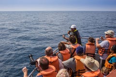 Mirissa è posto che ha la più grande balena blu fotografie stock libere da diritti Mirissa è posto che ha la più grande balena blu fotografie stock libere da diritti