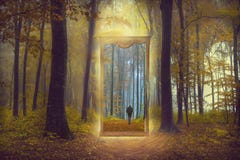 Mirror through another world in a foggy forest stock photo Mirror through another world in a foggy forest stock photo