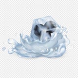 Mirtilli nell'illustrazione isolata cubetto di ghiaccio illustrazione vettoriale Mirtilli nell'illustrazione isolata cubetto di ghiaccio illustrazione vettoriale