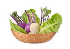 Mischgemüse, Kohlrabi, essbarer Eibisch, Baby Lattich im Korb auf Weiß Stockbilder Mischgemüse, Kohlrabi, essbarer Eibisch, Baby Lattich im Korb auf Weiß Stockbilder