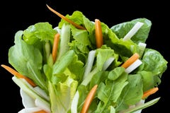 Mischungsfisch-Menügrünschnäbel mit Raketenblättern, Karotten, Kopfsalat und geschnittenem Bodenapfel stockfoto Mischungsfisch-Menügrünschnäbel mit Raketenblättern, Karotten, Kopfsalat und geschnittenem Bodenapfel stockfoto