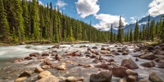Mistaya river on Icefields Parkway in Banff National Park, Alberta, Rocky Mountains Canada