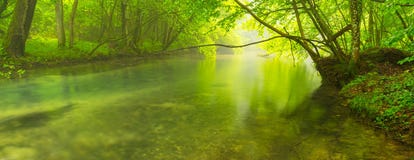 Misty Wild River In The Forest In Spring Royalty Free Stock Images