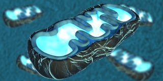 Mitochondrien stock abbildung Mitochondrien stock abbildung