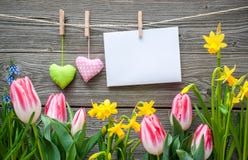 Mitteilung und Herzen auf der Wäscheleine mit Frühling blüht lizenzfreie stockfotografie Mitteilung und Herzen auf der Wäscheleine mit Frühling blüht lizenzfreie stockfotografie