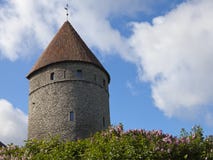 Mittelalterlicher Turm, Stadtteilswand und die blühende Flieder stockbild Mittelalterlicher Turm, Stadtteilswand und die blühende Flieder stockbild