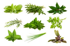 Mix aromatic herbs