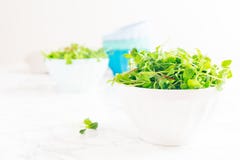 Mixed baby greens salad in bowl. Superfood snack concept stock photos Mixed baby greens salad in bowl. Superfood snack concept stock photos