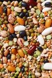 Mixed Beans. Stock Images
