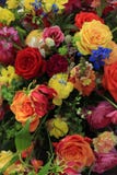 Mixed Spring Bouquet Royalty Free Stock Image