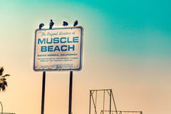 Mięsień plaża podpisuje wewnątrz los angeles obraz royalty free Mięsień plaża podpisuje wewnątrz los angeles obraz royalty free