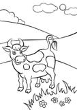 Miła uśmiechnięta krowy pozycja na polu ilustracja wektor Miła uśmiechnięta krowy pozycja na polu ilustracja wektor