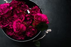 Miłość czerwonych róż romansowy bukiet kwitnie uczucia zdjęcia royalty free Miłość czerwonych róż romansowy bukiet kwitnie uczucia zdjęcia royalty free