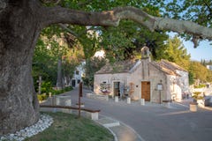 MLINI, ΚΡΟΑΤΊΑ - τον Απρίλιο του 2019: Το παλαιό sycamore δέντρο και souvernir ψωνίζει από την παλαιά παλαιά εκκλησία σε Mlini στοκ εικόνα MLINI, ΚΡΟΑΤΊΑ - τον Απρίλιο του 2019: Το παλαιό sycamore δέντρο και souvernir ψωνίζει από την παλαιά παλαιά εκκλησία σε Mlini στοκ εικόνα
