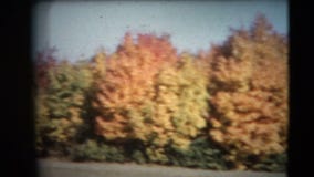 8mm tappning - 60-tal Autumn Colors Pan 8mm tappning - 60-tal Autumn Colors Pan