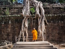 Mnich Buddyjski Egzamininuje Gigantycznych drzewo korzenie przy Angkor świątynią, Kambodża Obrazy Stock Mnich Buddyjski Egzamininuje Gigantycznych drzewo korzenie przy Angkor świątynią, Kambodża Obrazy Stock