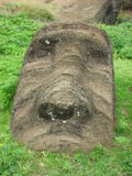 Moai At Rano Raraku Stock Images