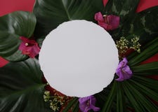 Mock-up white paper with space for text or picture on red background and tropical leaves and flowers stock images Mock-up white paper with space for text or picture on red background and tropical leaves and flowers stock images