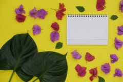 Mock-up white paper with space for text or picture on yellow background and tropical leaves and flowers stock photography Mock-up white paper with space for text or picture on yellow background and tropical leaves and flowers stock photography