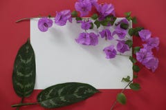 Mock-up white paper with space for text on red background and tropical leaves and flowers stock image Mock-up white paper with space for text on red background and tropical leaves and flowers stock image