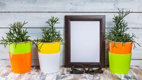 Mockup puste fotografii ramy, rośliny w barwiących garnkach na lekkim drewnianym tle i obraz stock Mockup puste fotografii ramy, rośliny w barwiących garnkach na lekkim drewnianym tle i obraz stock