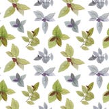 Mod?le sans couture d'aquarelle Un ensemble de feuilles Feuilles peintes par aquarelle ?l?ment de conception Feuilles ?l?gantes p illustration stock Mod?le sans couture d'aquarelle Un ensemble de feuilles Feuilles peintes par aquarelle ?l?ment de conception Feuilles ?l?gantes p illustration stock