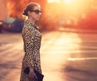 Moda de la calle, mujer elegante en un vestido con el estampado leopardo fotos de archivo libres de regalías Moda de la calle, mujer elegante en un vestido con el estampado leopardo fotos de archivo libres de regalías