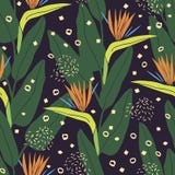 Modell med strelitzia stock illustrationer Modell med strelitzia stock illustrationer