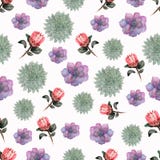 Modello dei fiori del protea della pianta tropicale e dei succulenti, waterc illustrazione vettoriale Modello dei fiori del protea della pianta tropicale e dei succulenti, waterc illustrazione vettoriale