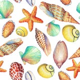 Modello senza cuciture con gli oggetti subacquei di vita, su fondo bianco Progettazione-SHELL marino, stella di mare Acquerello d Fotografia Stock Libera da Diritti Modello senza cuciture con gli oggetti subacquei di vita, su fondo bianco Progettazione-SHELL marino, stella di mare Acquerello d Fotografia Stock Libera da Diritti