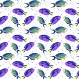 Modello senza cuciture con i pesci tropicali su fondo bianco illustrazione di stock Modello senza cuciture con i pesci tropicali su fondo bianco illustrazione di stock