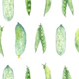 Modello senza cuciture con le verdure verdi fresche dipinte a mano dell'acquerello illustrazione vettoriale Modello senza cuciture con le verdure verdi fresche dipinte a mano dell'acquerello illustrazione vettoriale
