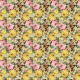 Modello senza cuciture del fondo floreale misero d'annata delle rose fotografie stock Modello senza cuciture del fondo floreale misero d'annata delle rose fotografie stock