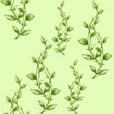 Modello senza cuciture del giardino di verde della foglia di gouache dell'acquerello royalty illustrazione gratis Modello senza cuciture del giardino di verde della foglia di gouache dell'acquerello royalty illustrazione gratis