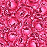 Modello senza cuciture dell'acquerello con i fiori rosa della peonia illustrazione vettoriale Modello senza cuciture dell'acquerello con i fiori rosa della peonia illustrazione vettoriale