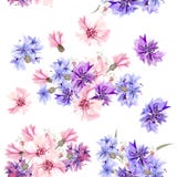 Modello senza cuciture della carta da parati con fiordaliso blu, rosa e porpora illustrazione vettoriale Modello senza cuciture della carta da parati con fiordaliso blu, rosa e porpora illustrazione vettoriale