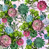 Modello senza cuciture della pianta e del cactus succulenti illustrazione vettoriale Modello senza cuciture della pianta e del cactus succulenti illustrazione vettoriale
