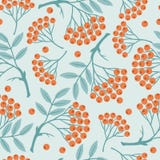 Modello senza cuciture di inverno con la sorba stilizzata royalty illustrazione gratis Modello senza cuciture di inverno con la sorba stilizzata royalty illustrazione gratis