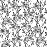 Modello senza cuciture disegnato a mano con i fiori del giglio fotografia stock Modello senza cuciture disegnato a mano con i fiori del giglio fotografia stock