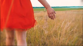 Modelo de forma positivo do tamanho no vídeo de movimento lento que anda na grama a mulher gorda na natureza na grama do campo fl filme Modelo de forma positivo do tamanho no vídeo de movimento lento que anda na grama a mulher gorda na natureza na grama do campo fl filme