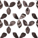 Modelo de la ostra, mejillones ilustración del vector Modelo de la ostra, mejillones ilustración del vector
