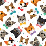 Modelo de los gatos y del amigo libre illustration Modelo de los gatos y del amigo libre illustration