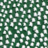 Modelo del cactus La textura del cactus con los puntos blancos mullidos Fondo verde Microdasys de la Opuntia del cactus imagenes de archivo Modelo del cactus La textura del cactus con los puntos blancos mullidos Fondo verde Microdasys de la Opuntia del cactus imagenes de archivo