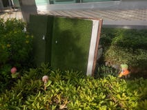 Modelo do livro na frente da biblioteca imagens de stock Modelo do livro na frente da biblioteca imagens de stock