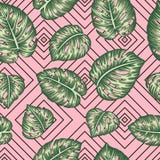 Modelo geométrico inconsútil del vector con las hojas verdes del monstera en fondo rosado stock de ilustración Modelo geométrico inconsútil del vector con las hojas verdes del monstera en fondo rosado stock de ilustración