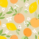 Modelo incons?til con los limones y las naranjas, frutas tropicales, hojas, flores Fondo repetido fruta Plantilla de la planta pa stock de ilustración Modelo incons?til con los limones y las naranjas, frutas tropicales, hojas, flores Fondo repetido fruta Plantilla de la planta pa stock de ilustración
